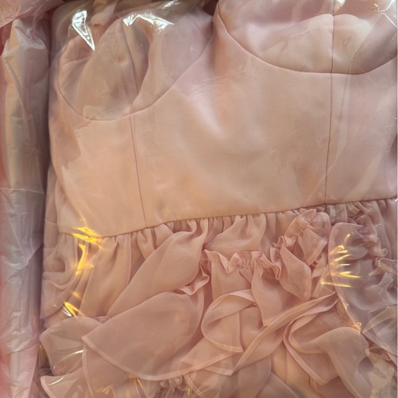 Prima Ballerina Mademoiselle ballgown | Fanciful Doll | XS - Picture 4 of 8